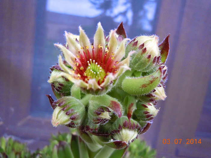 DSCN0272.JPG