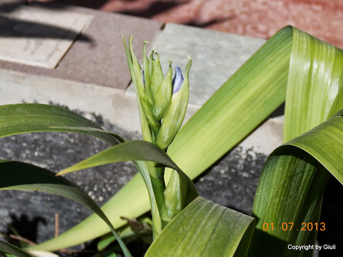 DSCN0274.JPG