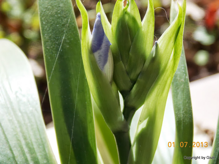 DSCN0275.JPG