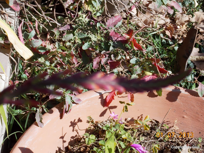 DSCN0276.JPG