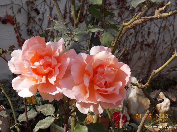 DSCN0280.JPG