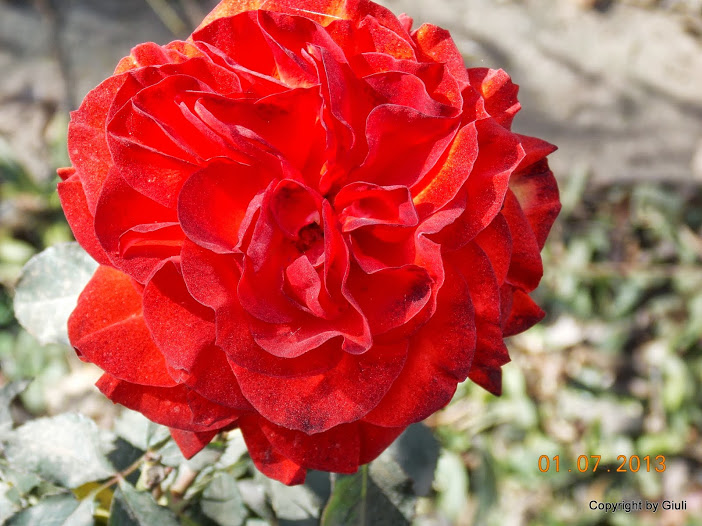 DSCN0281.JPG