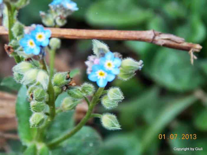 DSCN0284.JPG