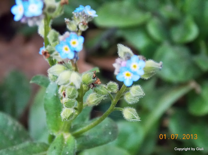 DSCN0286.JPG