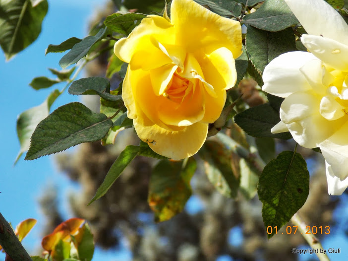 DSCN0296.JPG