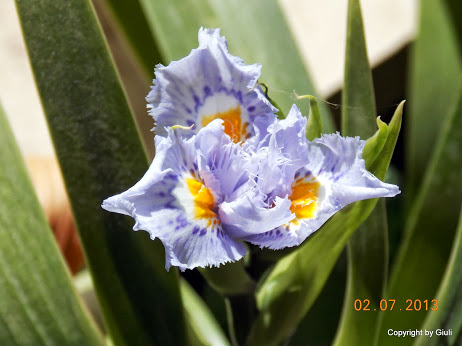 DSCN0305.JPG