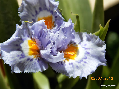DSCN0306.JPG