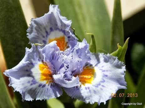 DSCN0307.JPG