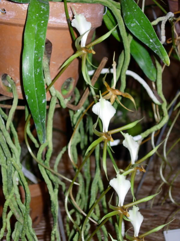 DSCN0311.jpg