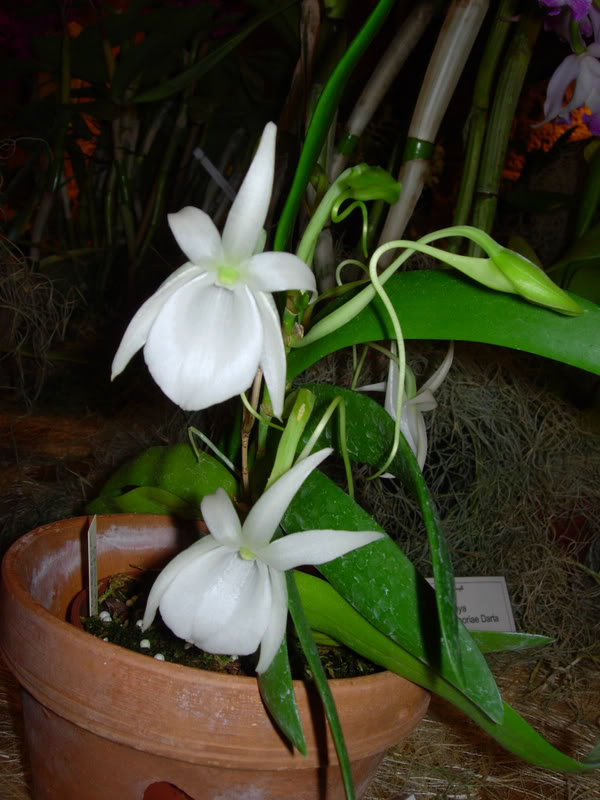 DSCN0316.jpg