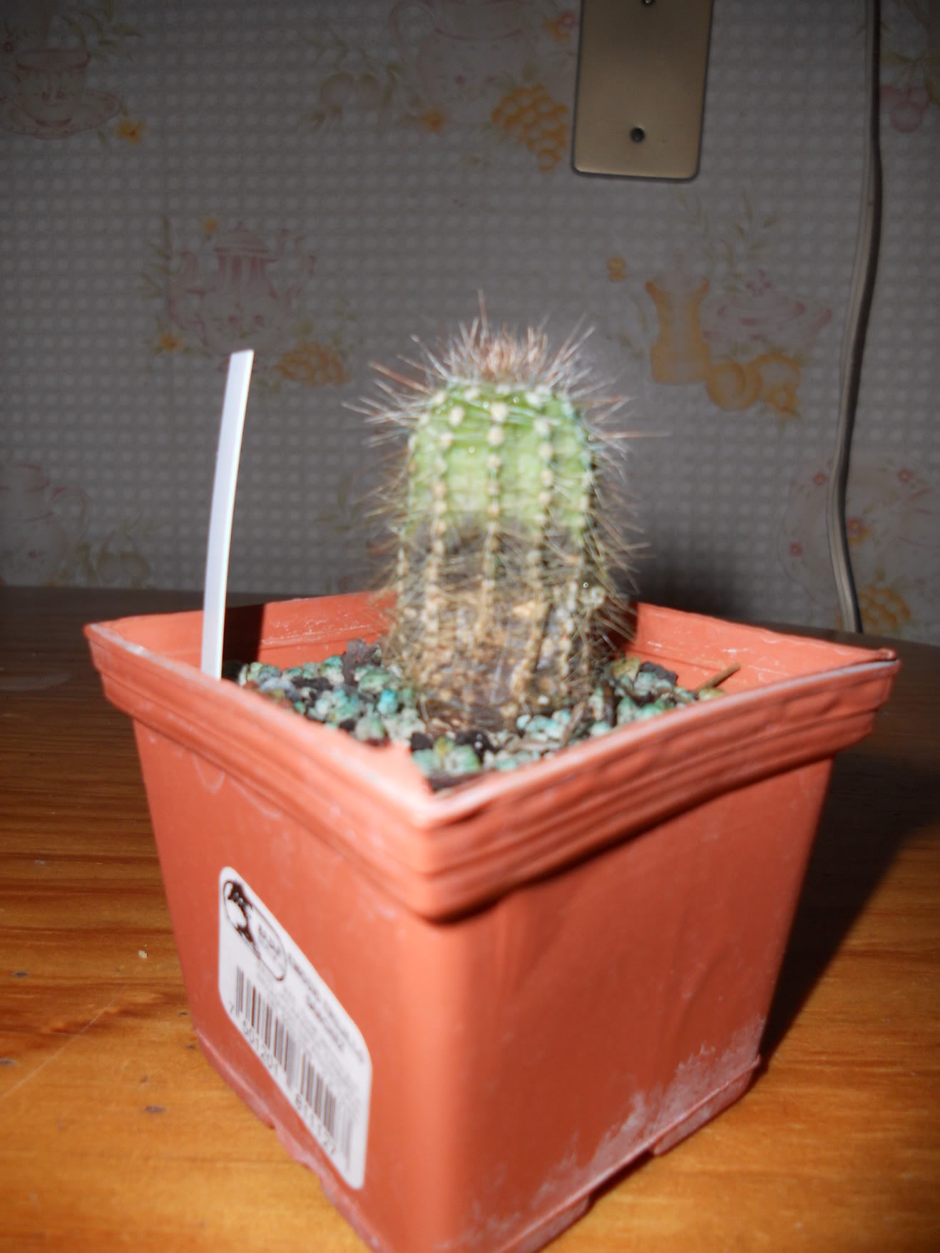 DSCN0317.jpg