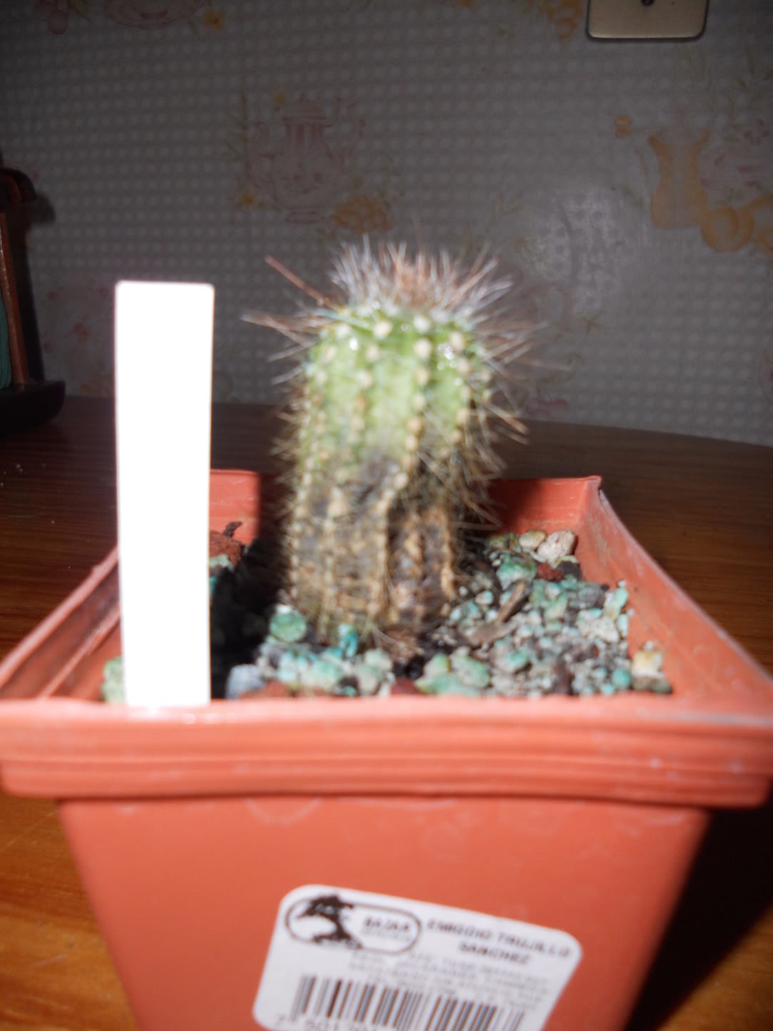 DSCN0320.jpg