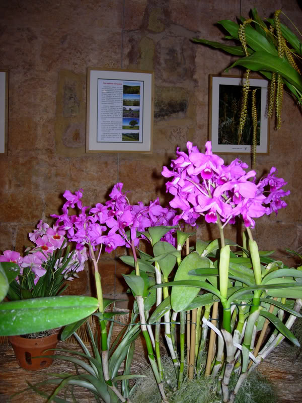 DSCN0321.jpg