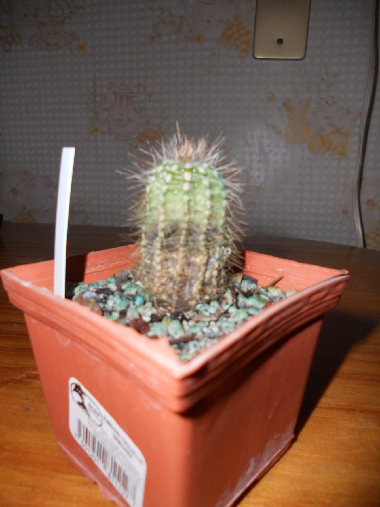 DSCN0322.jpg