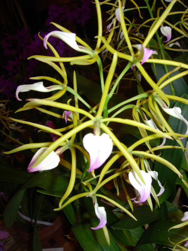 DSCN0325.jpg