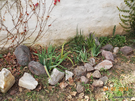DSCN0325.JPG