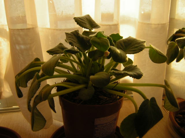 DSCN0326.JPG