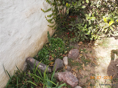DSCN0326.JPG