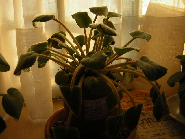 DSCN0327.JPG
