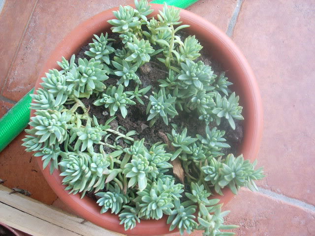 DSCN0330.jpg