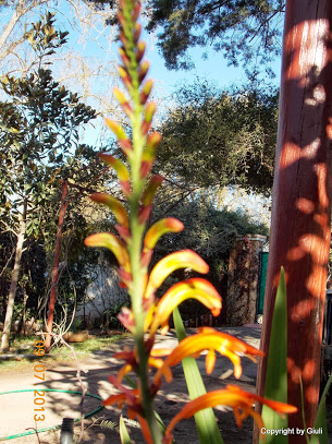 DSCN0332.JPG