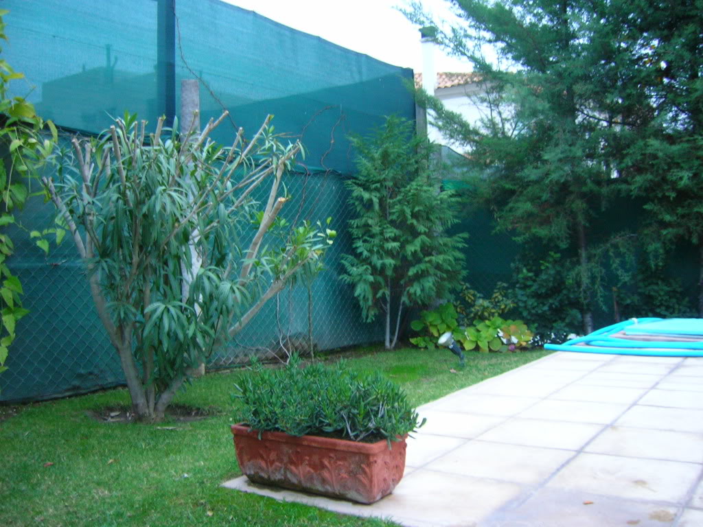 DSCN0334.jpg