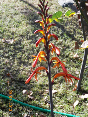 DSCN0334.JPG