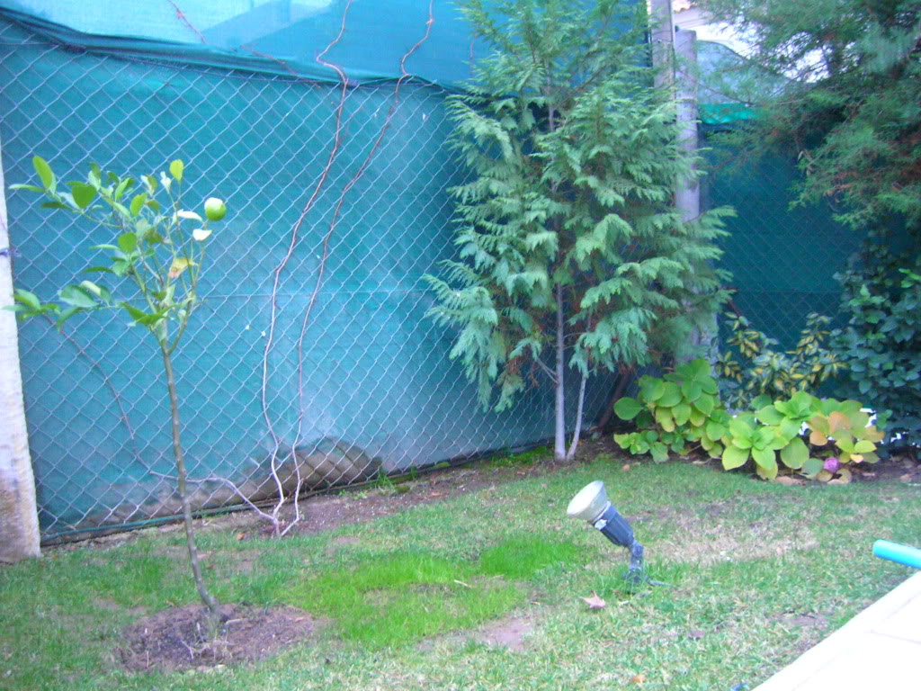 DSCN0336.jpg