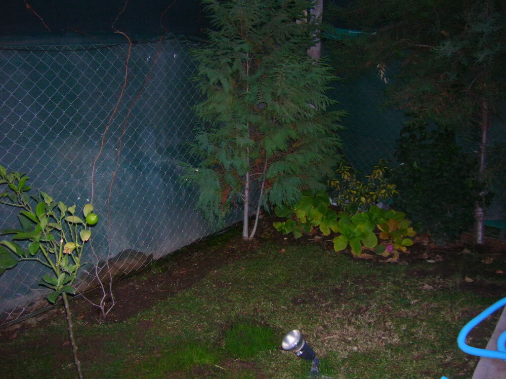 DSCN0337.jpg