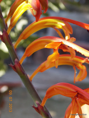 DSCN0349.JPG