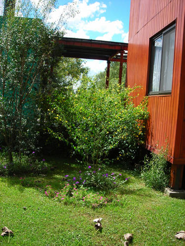 DSCN0352.jpg