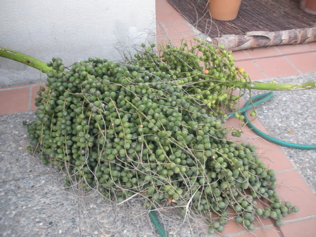 DSCN0363.jpg
