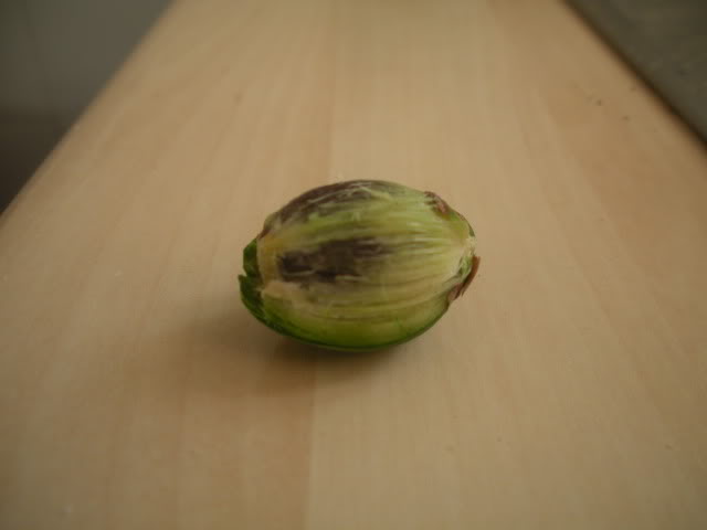 DSCN0365.jpg