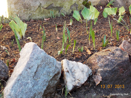 DSCN0378.JPG