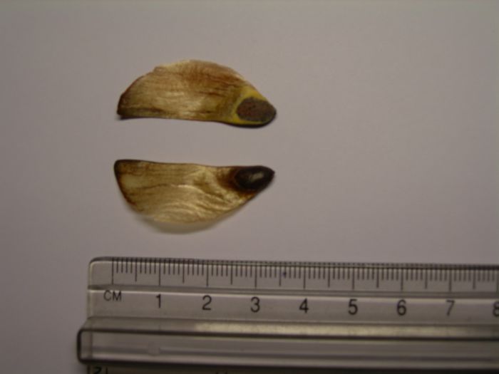 DSCN0381.JPG
