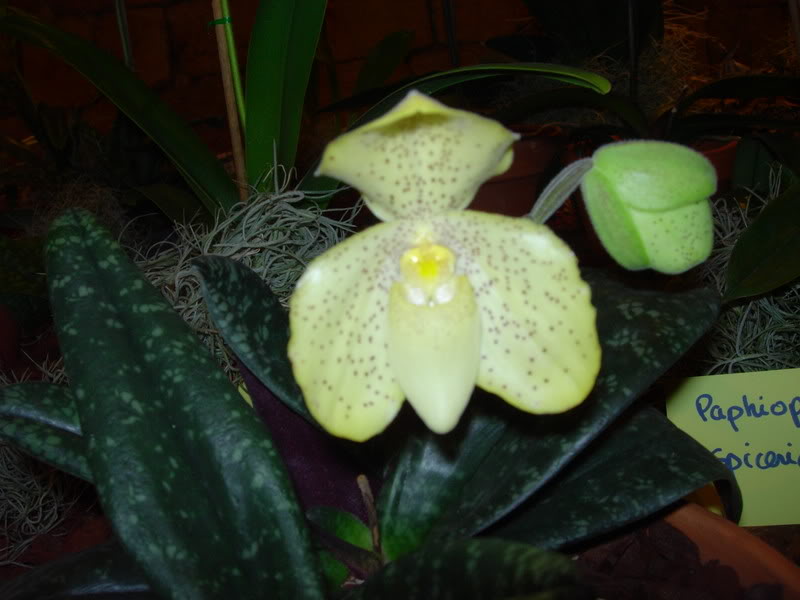 DSCN0382.jpg