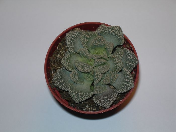 DSCN0392.JPG