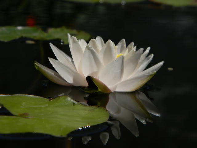DSCN0435.jpg