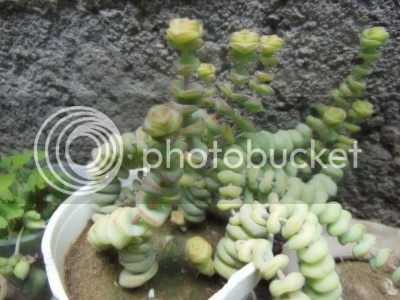 DSCN0438.jpg