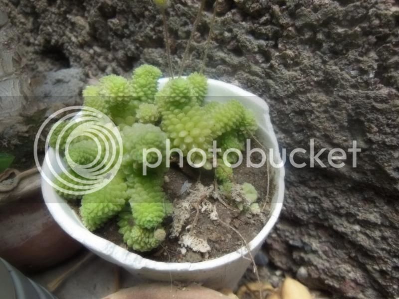 DSCN0440.jpg