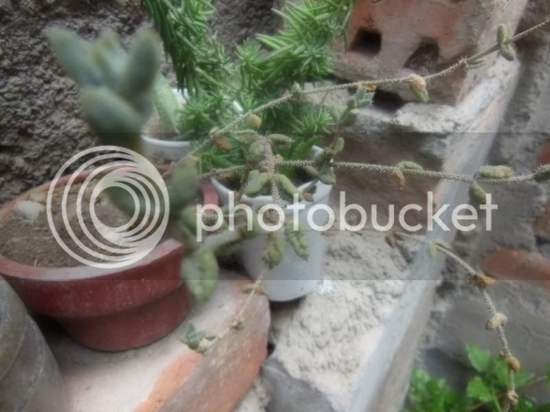 DSCN0443.jpg