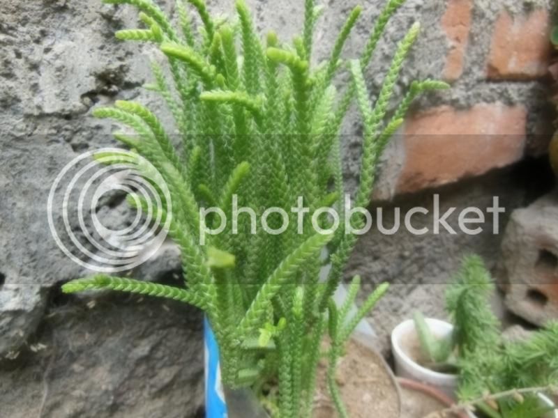 DSCN0444.jpg