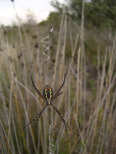 DSCN0467.jpg