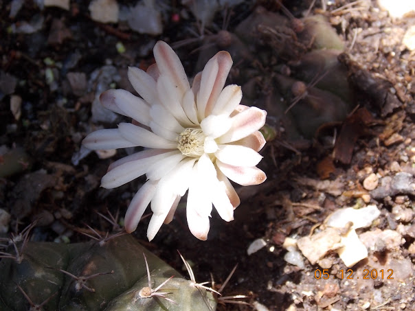 DSCN0472.JPG