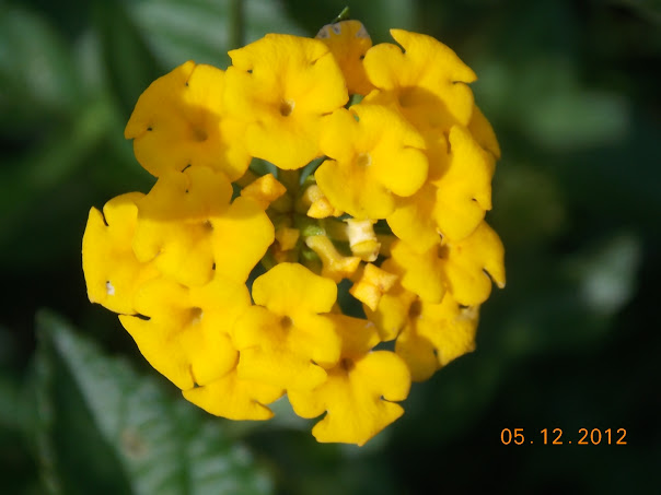 DSCN0484.JPG