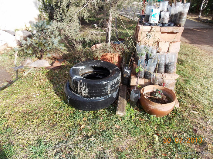 DSCN0484.JPG