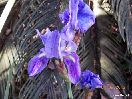 DSCN0488.JPG