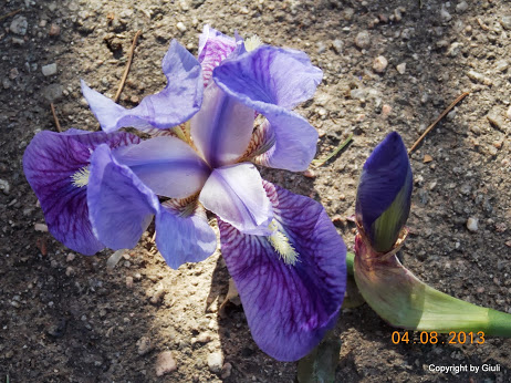 DSCN0489.JPG