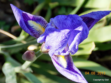 DSCN0490.JPG