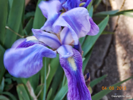 DSCN0491.JPG